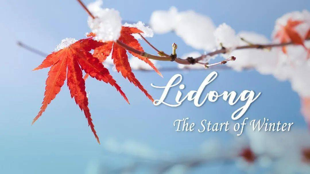 Start of Winter: A Season for Rest and Reflection