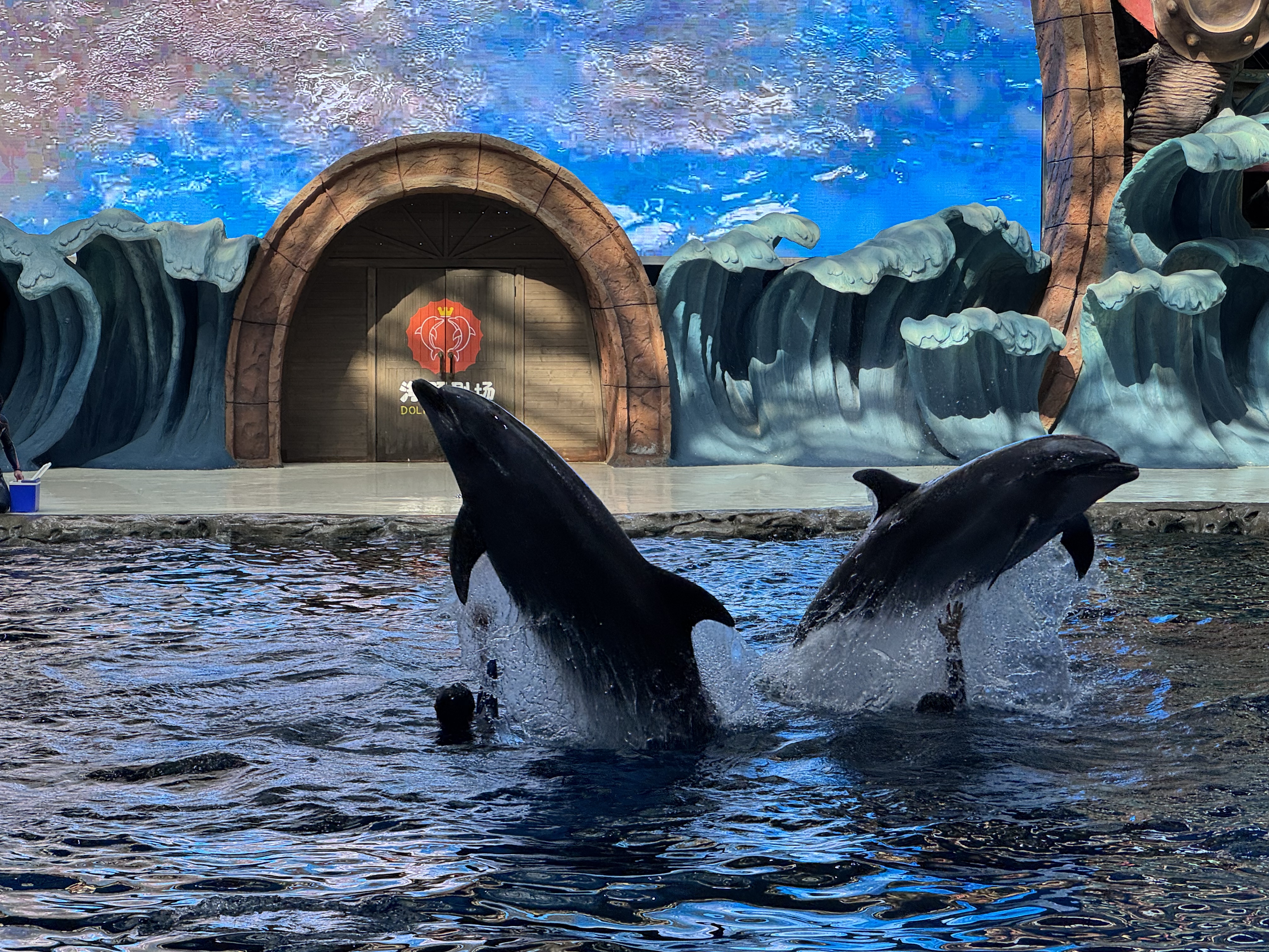 微信图片_20250714164248